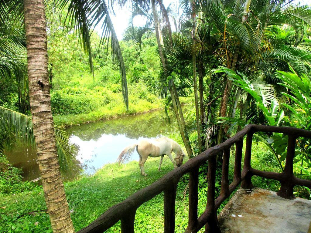 Happiness Resort Ban Khlong Haeng Exterior foto
