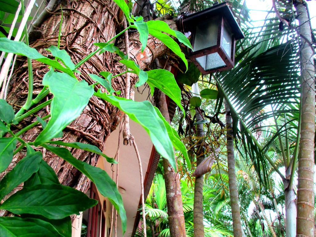 Happiness Resort Ban Khlong Haeng Exterior foto